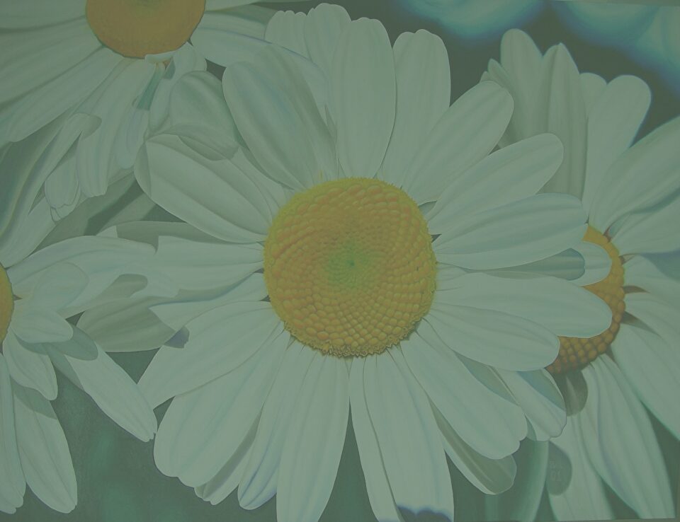 Close-up painting of white daisies with greenish background.
