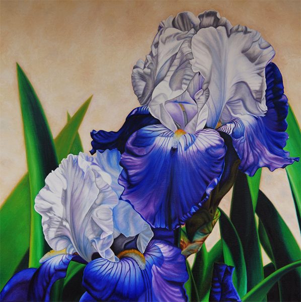 Oil on Canvas 30" x 30" Available