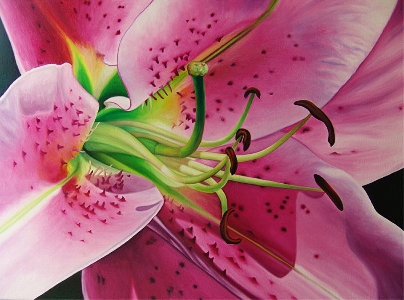Oil 19" x 26" Available