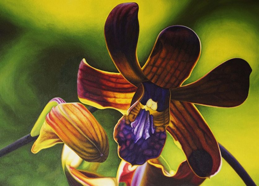 Oil on Canvas 19" x 26" Available