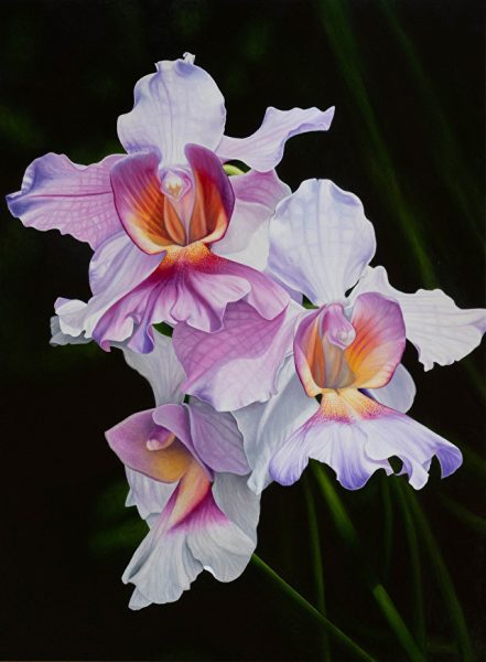 Oil on Canvas 40" x 30" Available - Best in Class and Best in Show