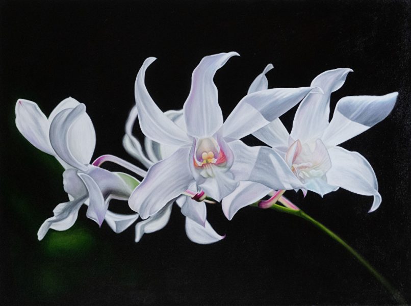 Oil on Canvas 30" x 40" Available - Best in Class and Best in Show