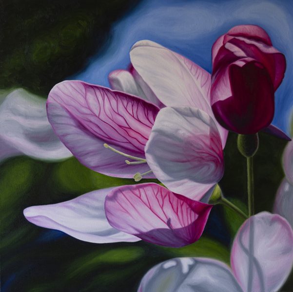 Oil on Canvas 19" x 19" Available