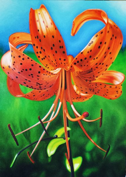 Oil on Canvas 26" x 19" Available
