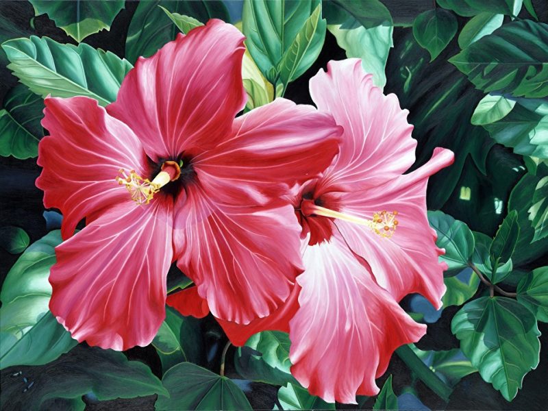Oil on Canvas 36" x 48" Available