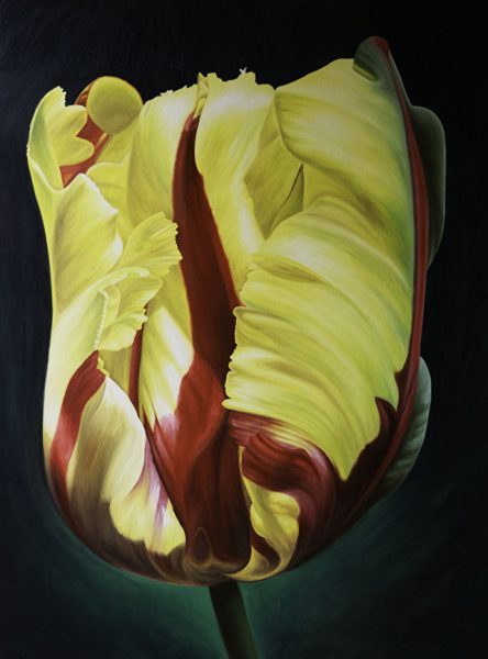 Oil on Canvas 40" x 30" On Loan