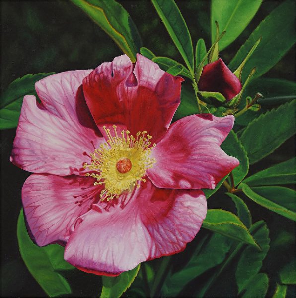 Oil on Canvas 19" x 19" Available