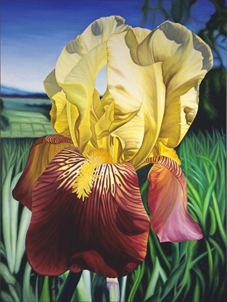 Oil on Canvas 48”x36” Available