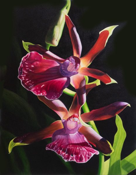 Oil on Canvas 40” x 30” Available